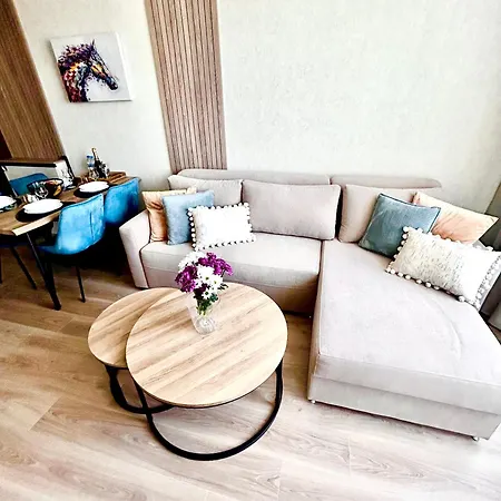 アパート Sorrento E 1 2 *